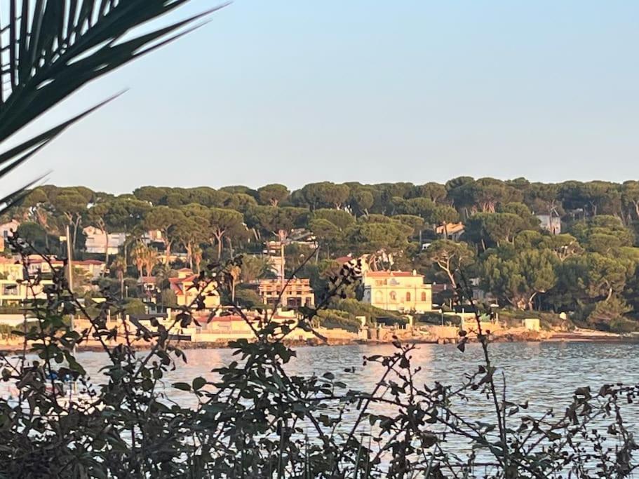 L Arche Du Cap Villa Antibes